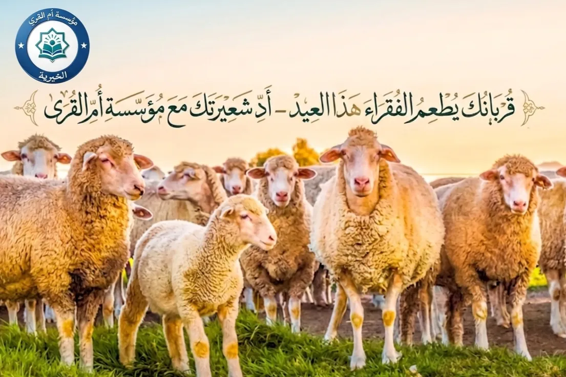 🐑 قربانك يُطعم الفقراء هذا العيد – أدِّ شعيرتك مع مؤسسة أمّ القرى